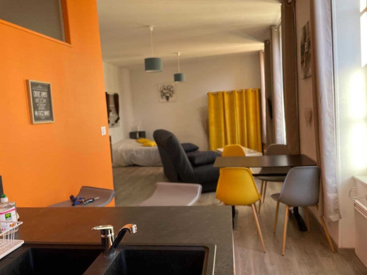 Millau Superbe Studio 35M2 Centre Ville Calme Et Ajoure Dış mekan fotoğraf